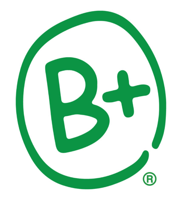 B+ Foundation logo